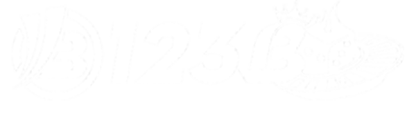 123bq.site